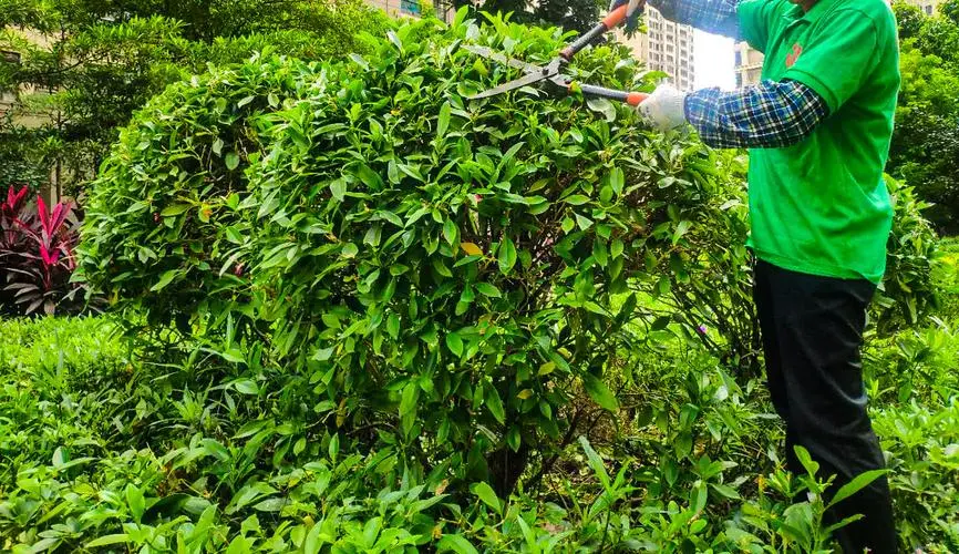 网球拍断了线要剪掉吗_
