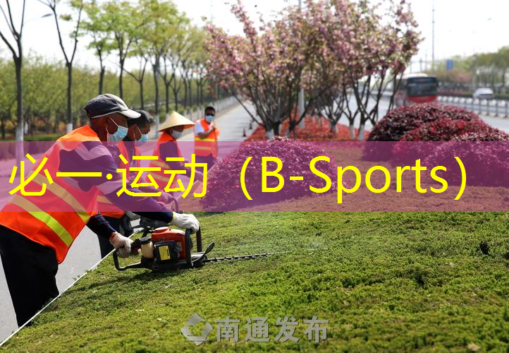 网球拍和训练器便宜