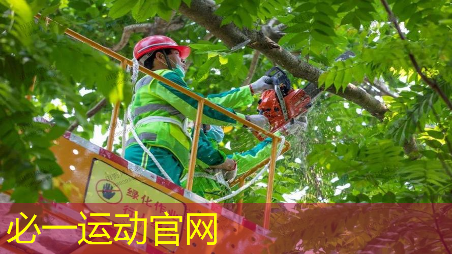 森林计步器和网球拍在哪
