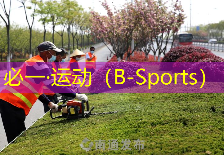 网球拍小黑拍价格区别图
